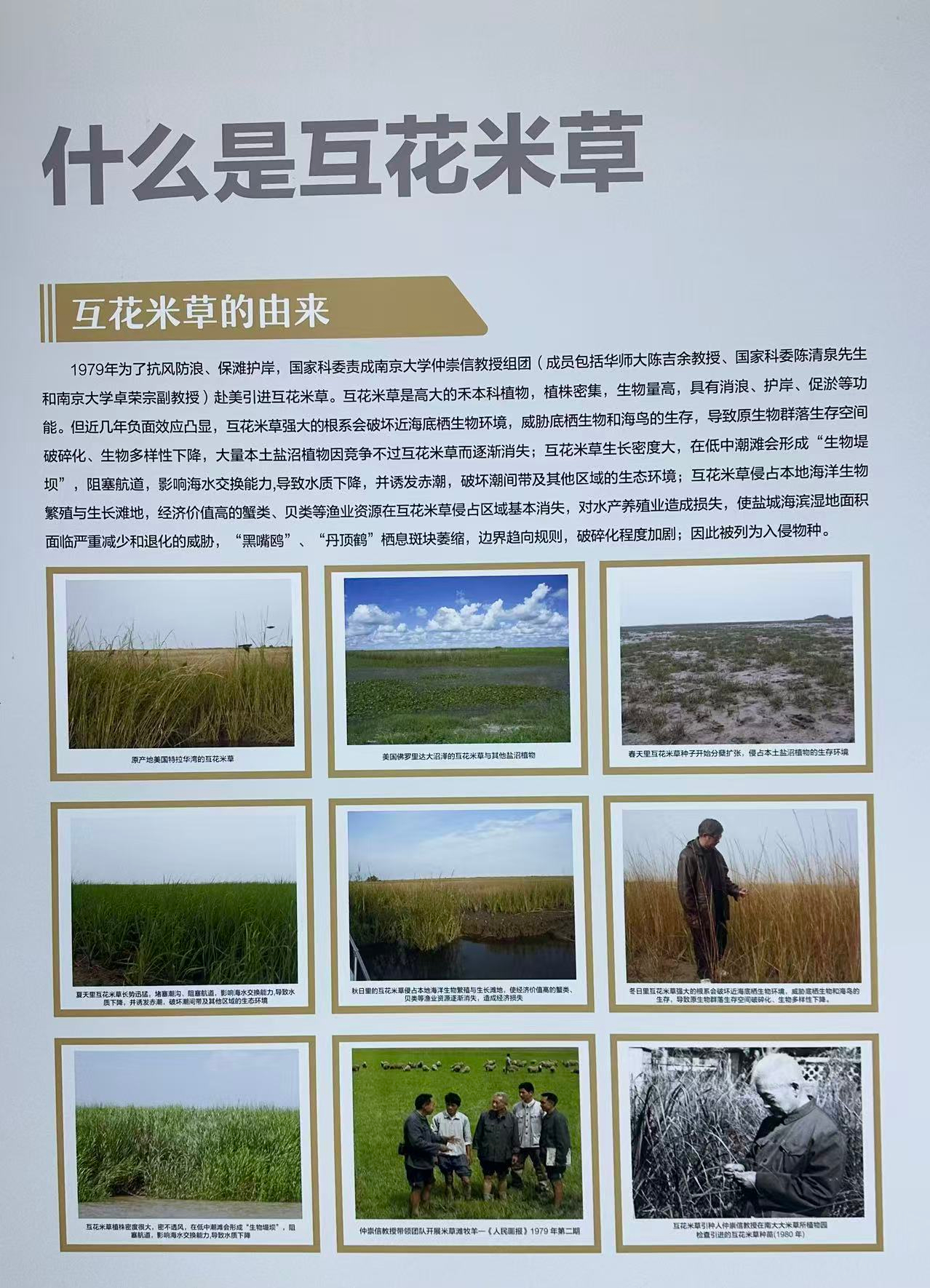 1760622015460389.jpg 1760622015460389.jpg